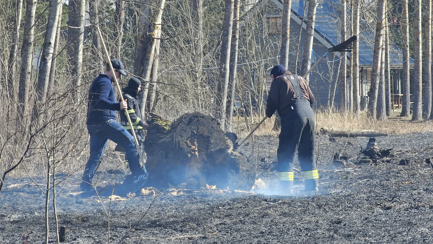 Maastikutulekahju kustutamine läinud pühapäeval Võru lähedal.