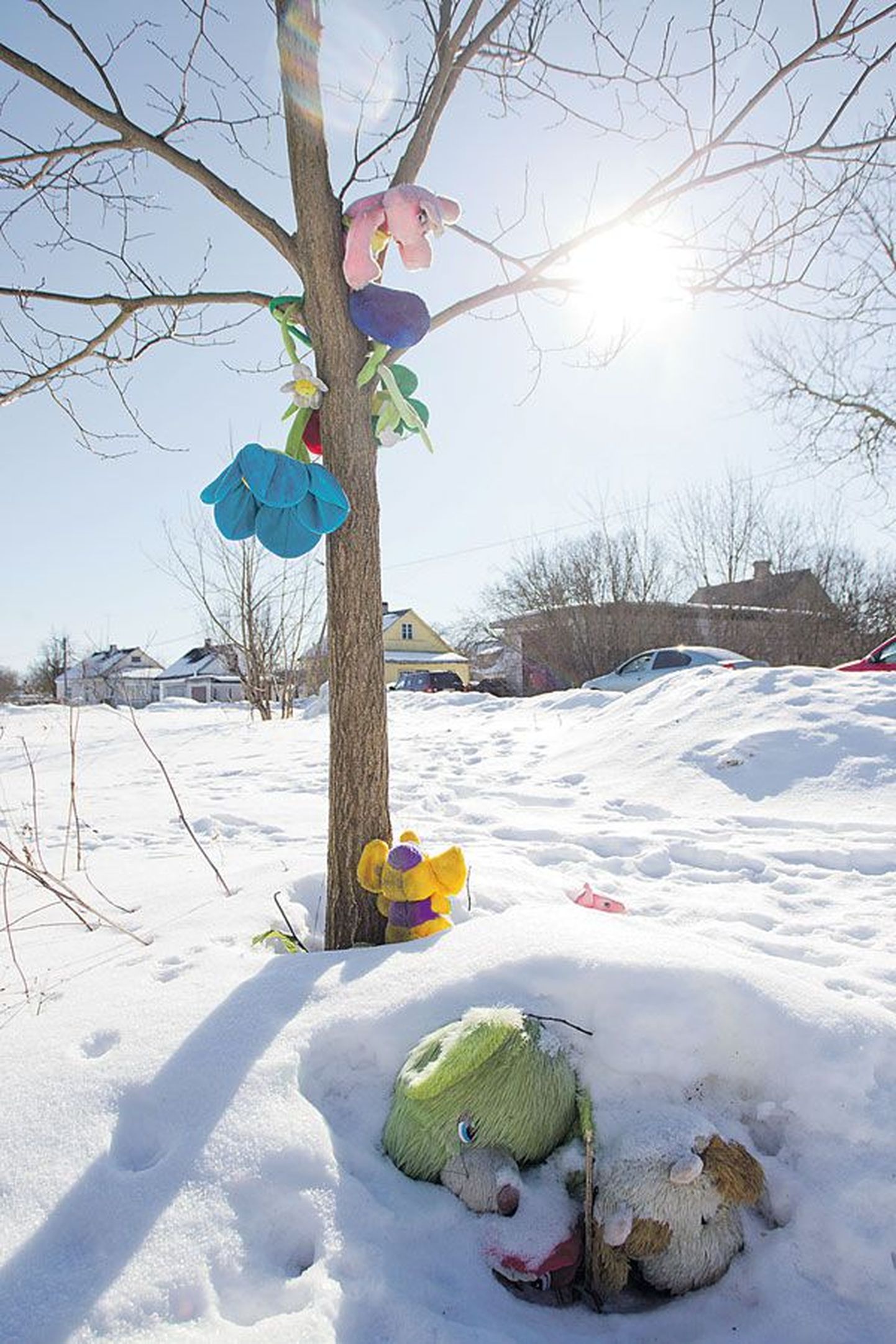 Место, где нашли тело Варвары Ивановой, через год после случившегося. Потрясенные жес­токим убийством девочки, жители приграничного города и сейчас приносят сюда цветы и игрушки. Многие из них сейчас покрыты толстым слоем снега.