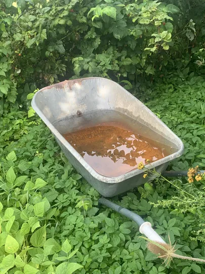 Vihma kallab kärutäite kaupa.