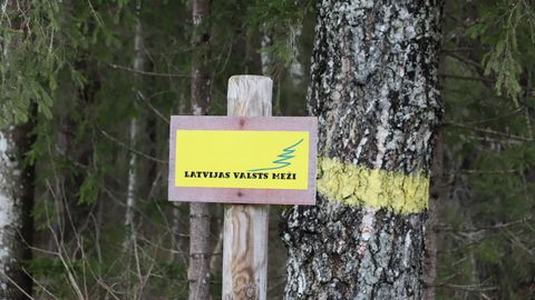 Trūkumi LVM pārvaldībā radījuši valstij desmitiem miljonu eiro sekas, konstatē revīzija