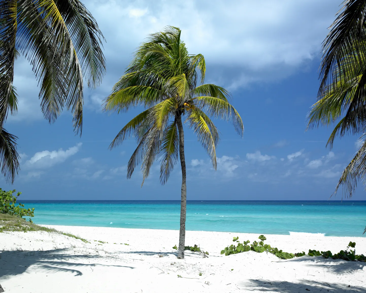 Varadero, Kuuba