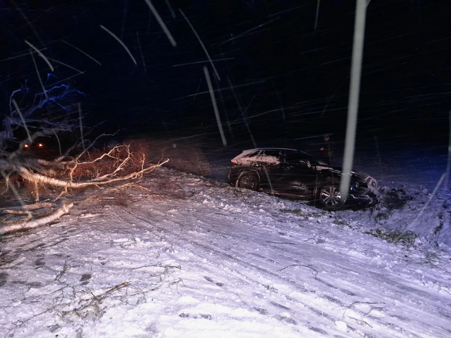 Kolmapäeva hommikul kell 6.51 said päästjad teate, et Kookla külas on murdunud puu teel. Sellega kokkupõrke vältimiseks pidi autojuht kraavi sõitma.