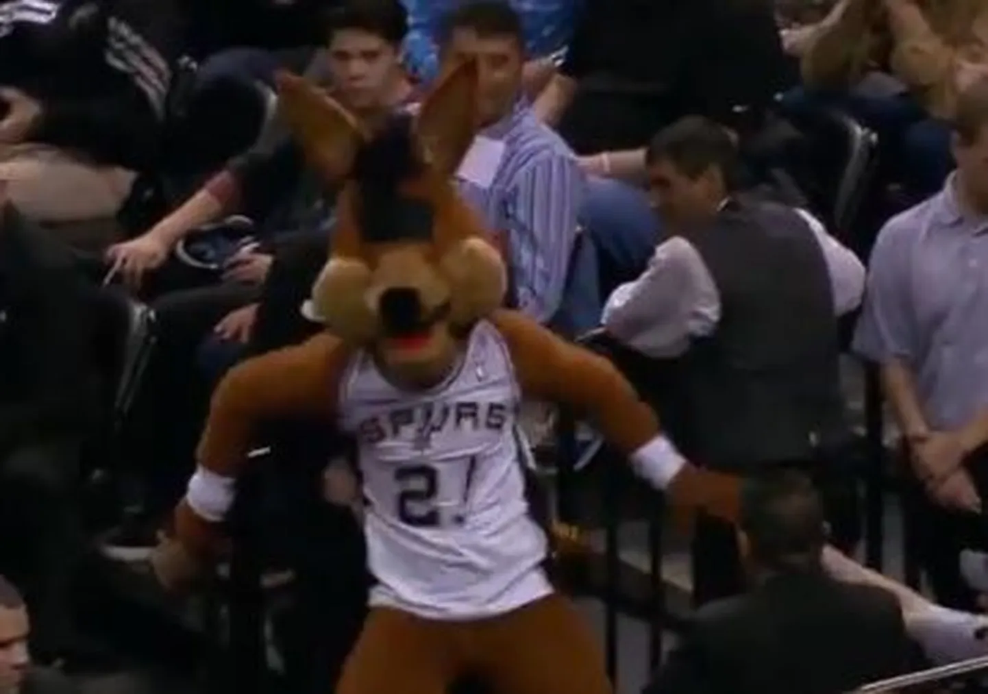 San Antonio Spursi maskott.
