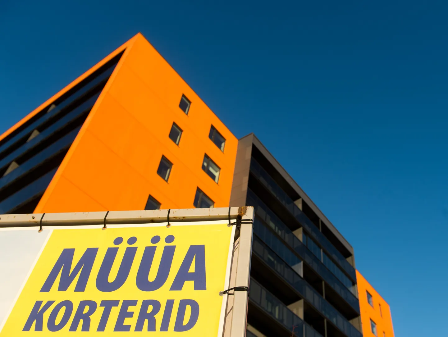 Uusarendused, Tallinn, 29.12.2015
Uusarendused, kortermajad Mustamäel Sõpruse puiesteel
FOTO: MIHKEL MARIPUU/POSTIMEES