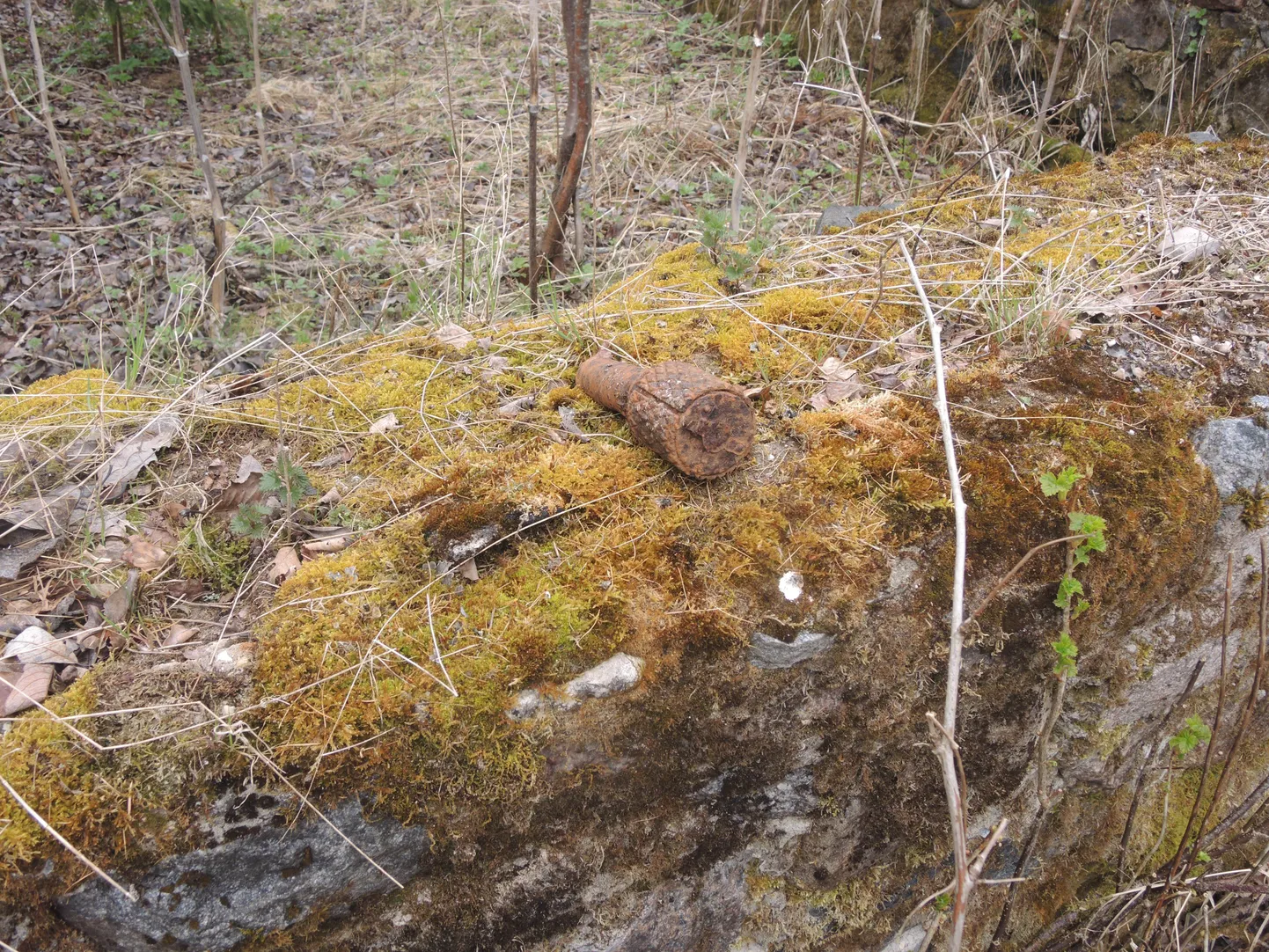 Jõgevamaalt Torma vallast leitud käsigranaat RGD.