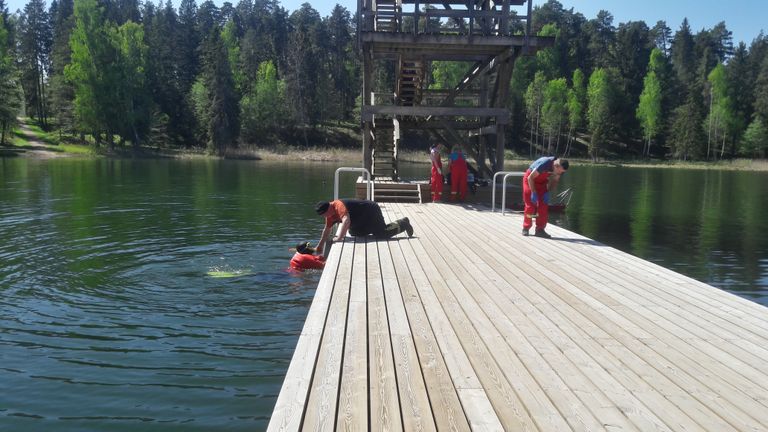 Tõrvas Vanamõisa järve ääres otsitakse väidetavalt vee alla vajunud noormeest.