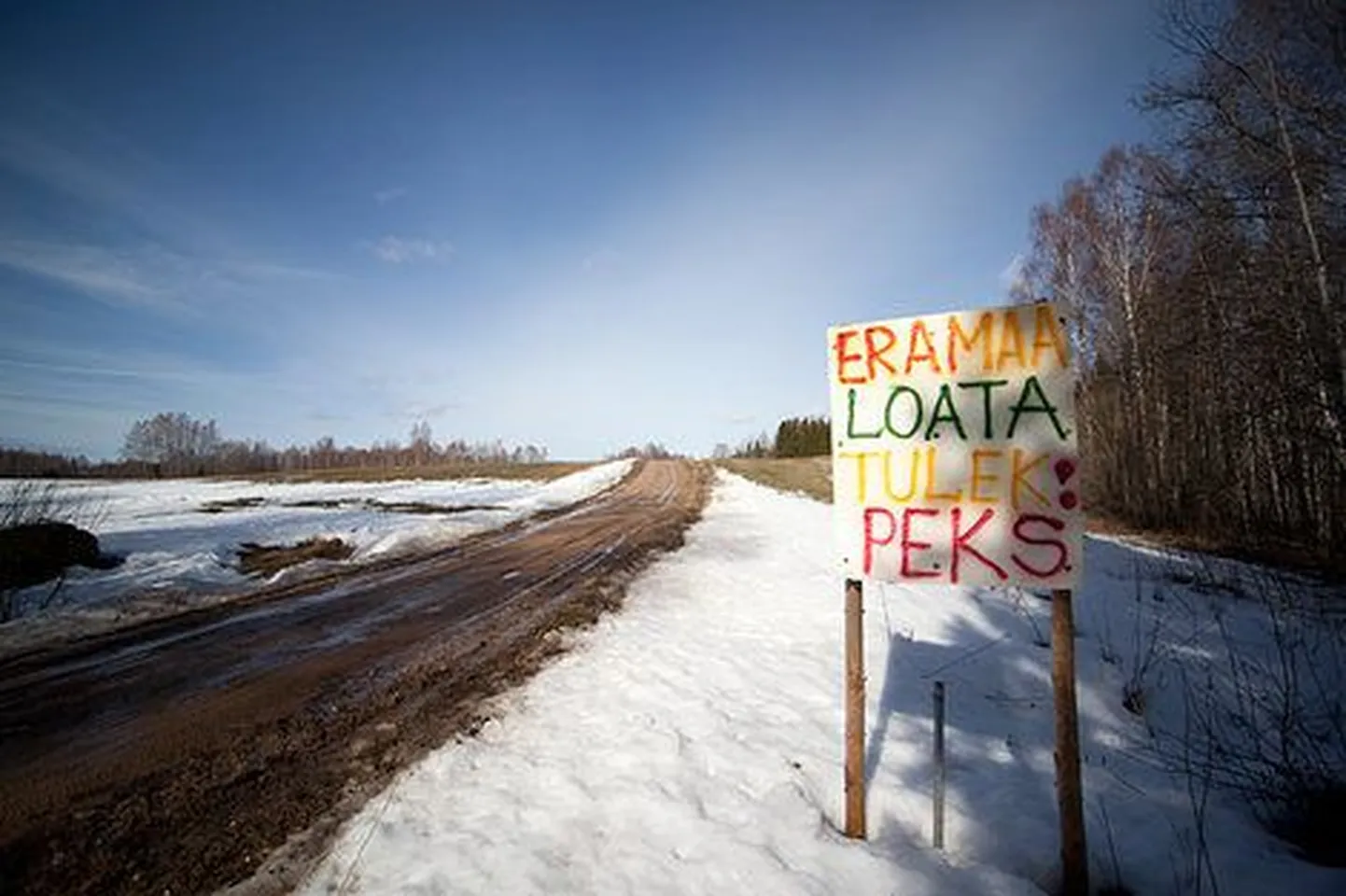 Фото статьи