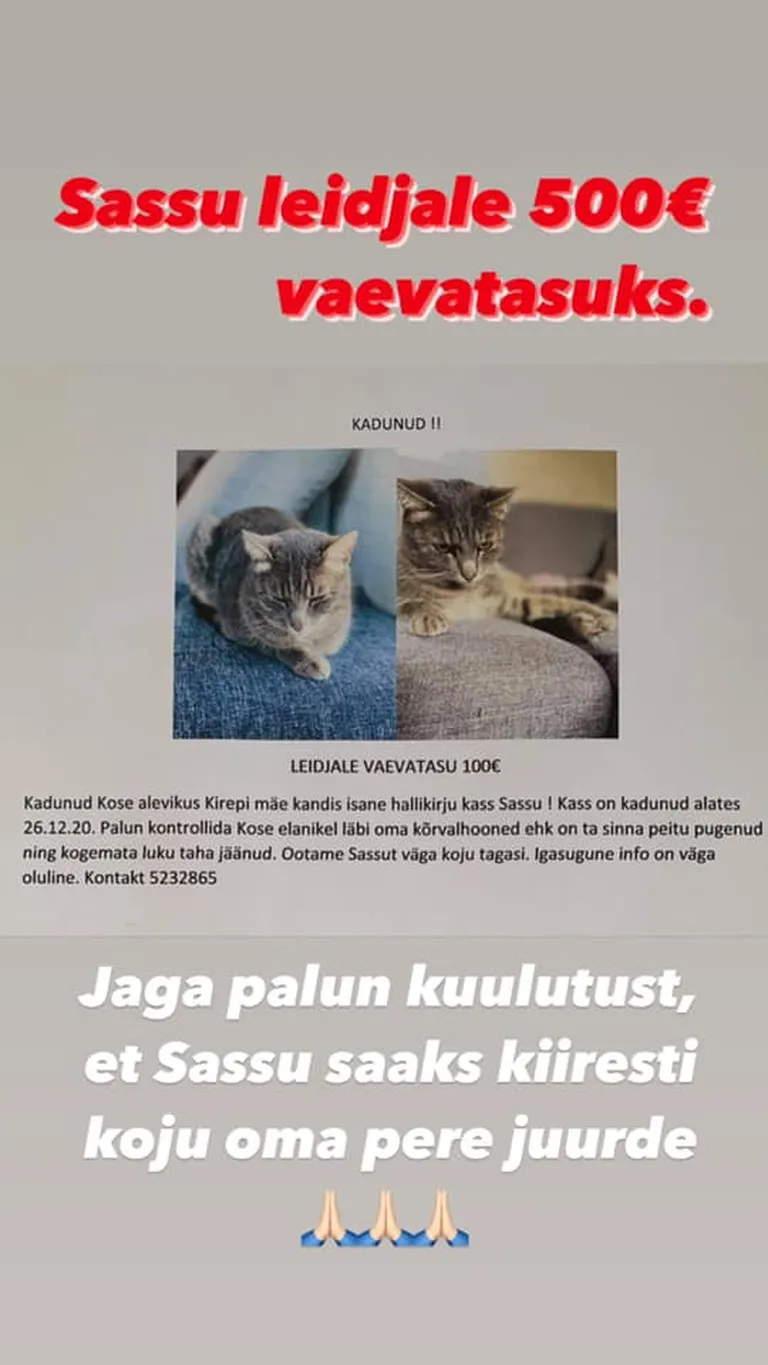 Artikli foto
