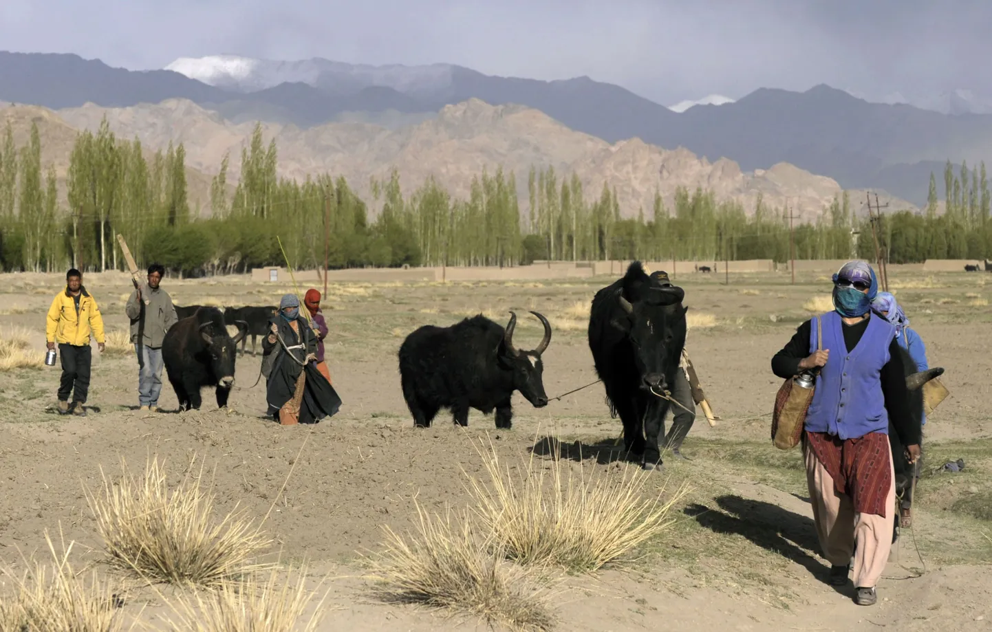 Ladakh