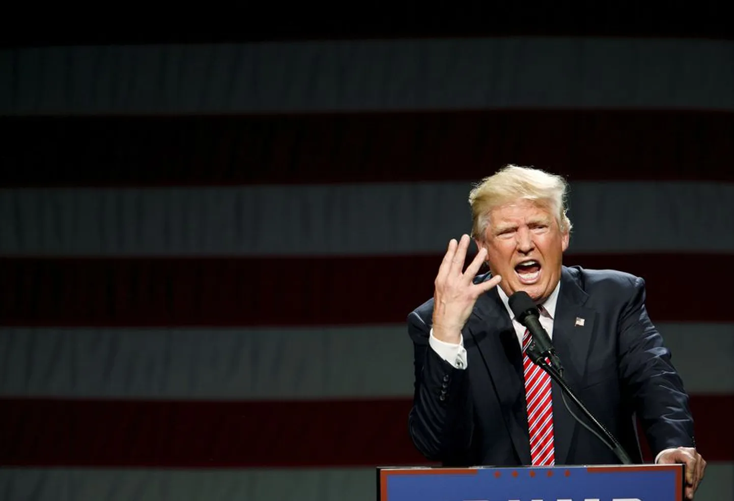 Donald Trump on maailmas tuntud oma soengu, rikkuse ning poliitiliselt ebakorrektsete ja sageli lausa kummaliste väljaütlemiste poolest.