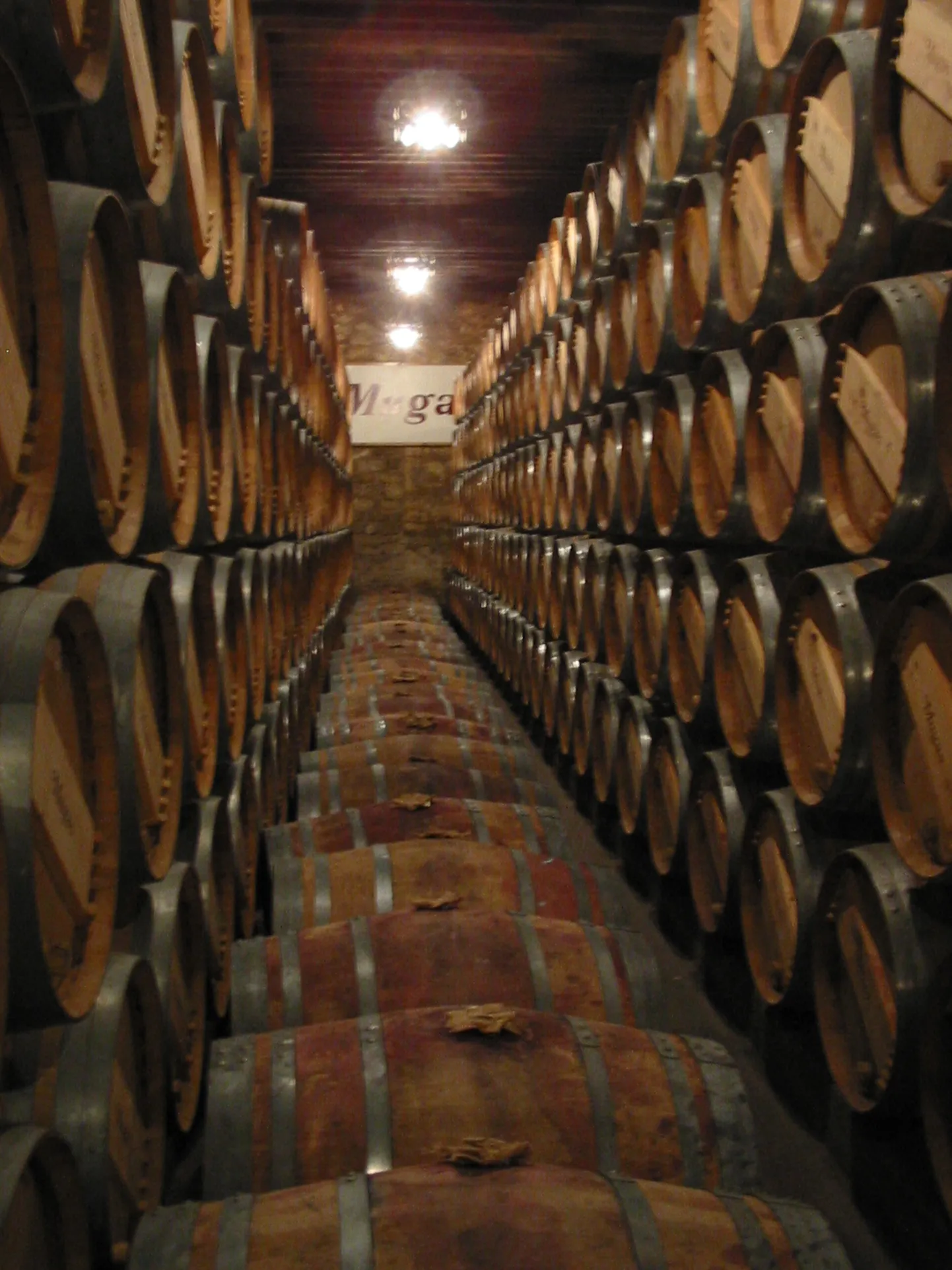 Punase veini vaadid Hispaanias Rioja piirkonnas.
