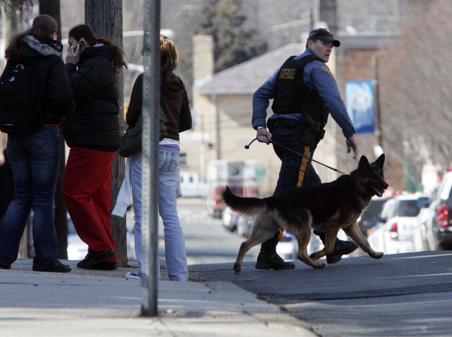 USA politseinik koeraga