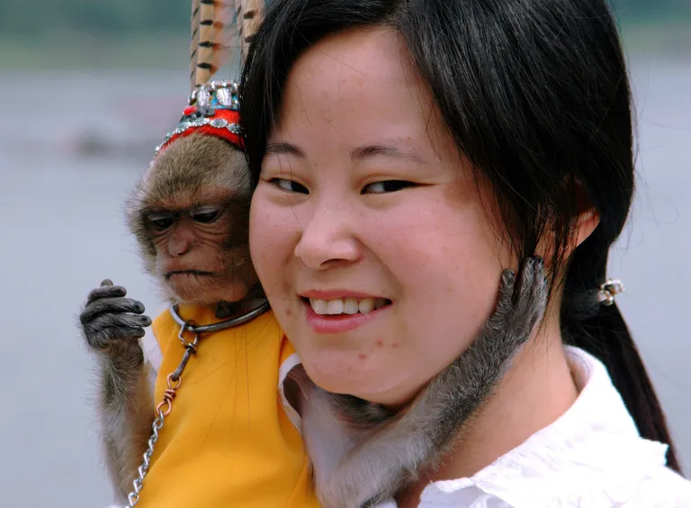 Ahv ja turist - Scanpix / The Image Works / TopFoto