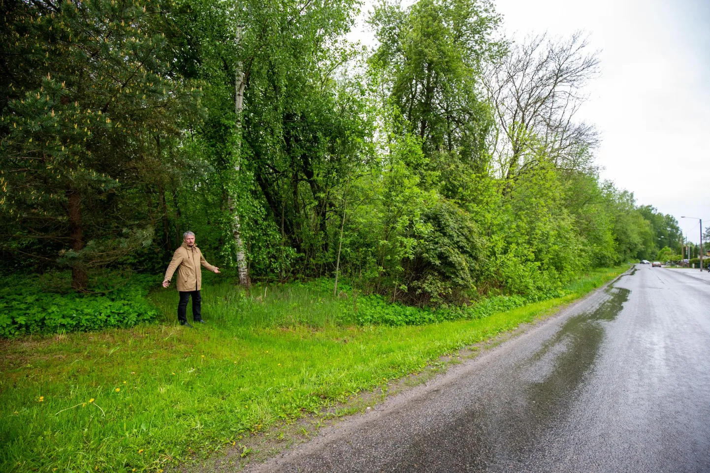 Ihaste seltsi juhatuse liige Kalle Pilt on veendunud, et puude ja roheluse säilitamine on ka nende huvides, kes tulevikus sinna krundile elama asuvad.