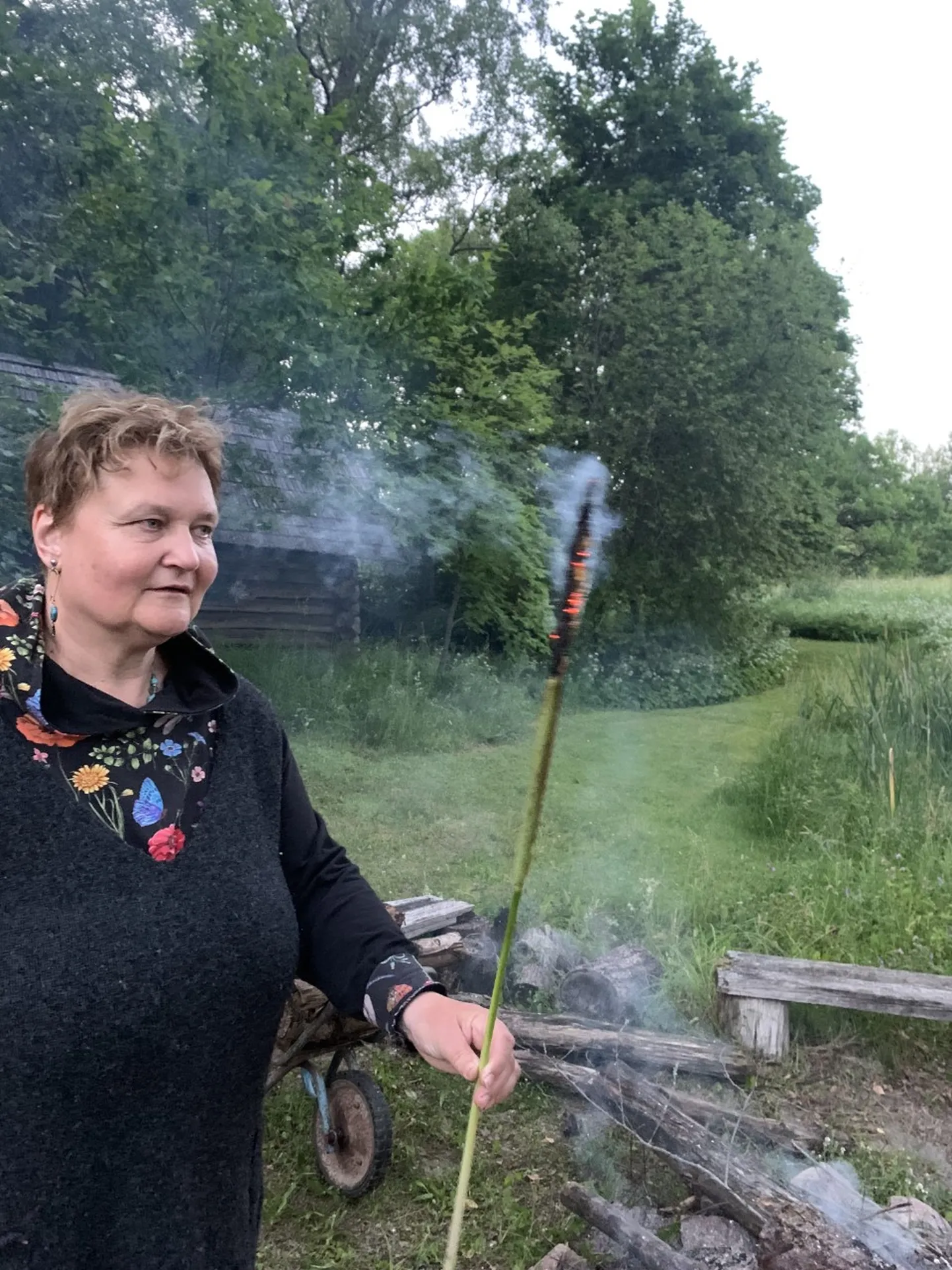 Kui hundinuiasid lõkke kohal röstida, siis süttib tõlviku ülaosas asuv õietolm ja saab selgeks pilt, kuidas vanasti karjapoisid neid tuliste nuidena kasutasid.