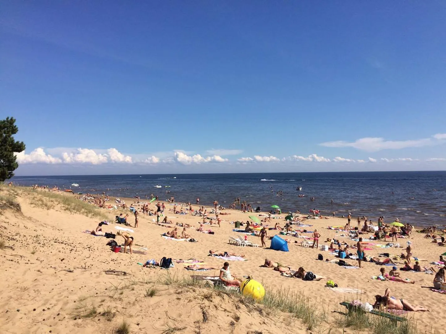 Eelmisel nädalal oli Kauksis rannalisi märgatavalt vähem.