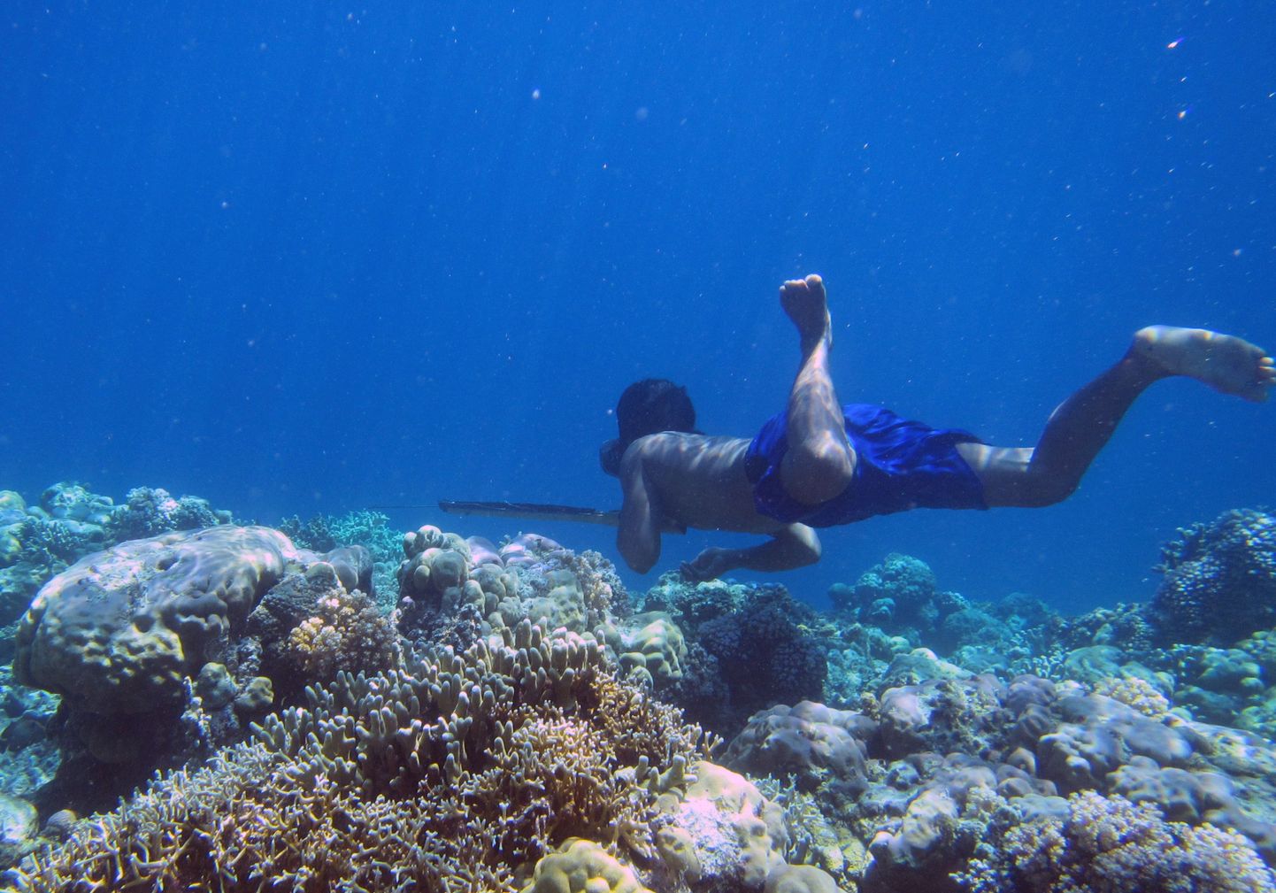 Uurimistöö autori foto bajau sukeldujast, kes traditsioonilise odaga kala püüab