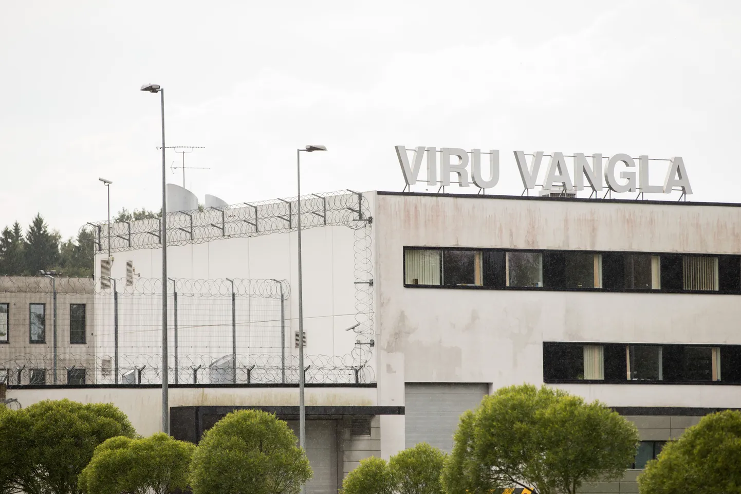 Viru vangla.