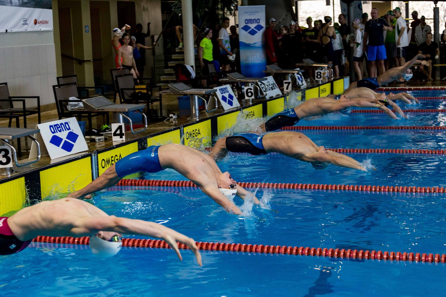 Baltimaade meistrivõistlused ujumises