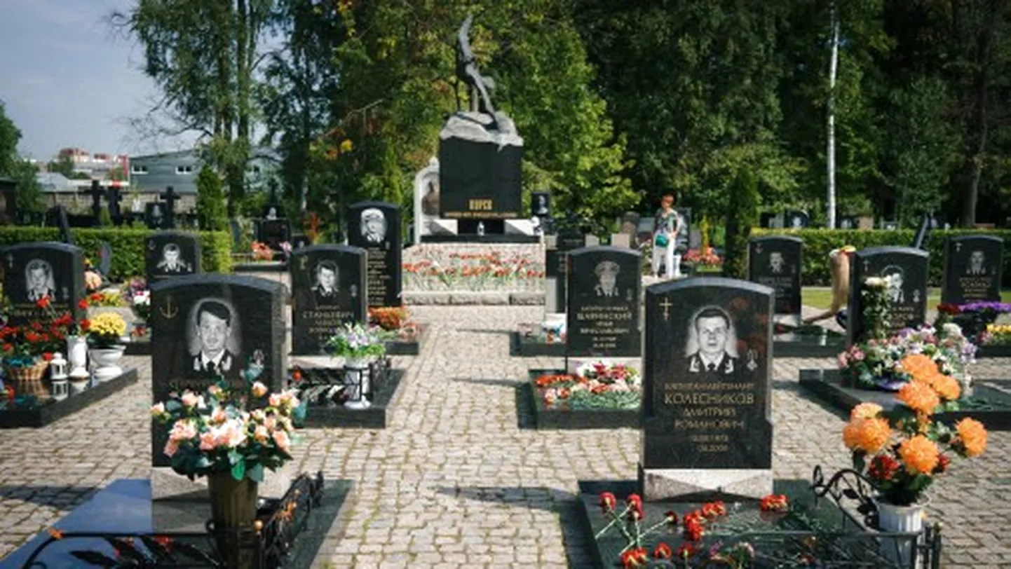 Фото статьи
