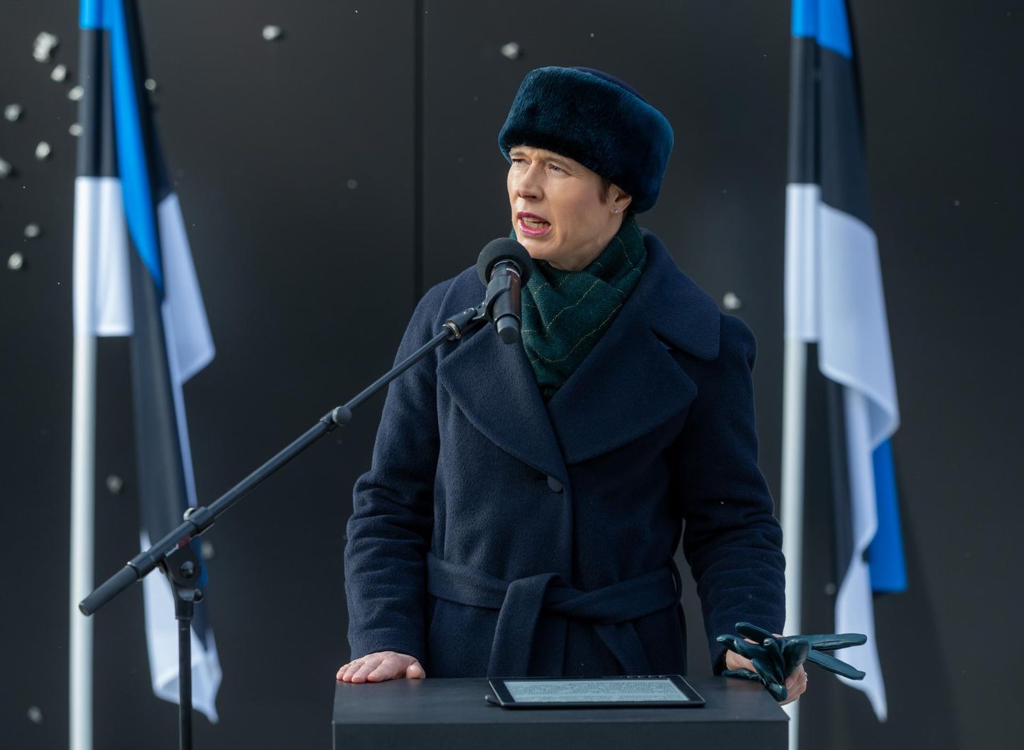 President Kersti Kaljulaid märtsiküüditamise mälestusüritusel kommunismiohvrite mälestusmärgi juures.