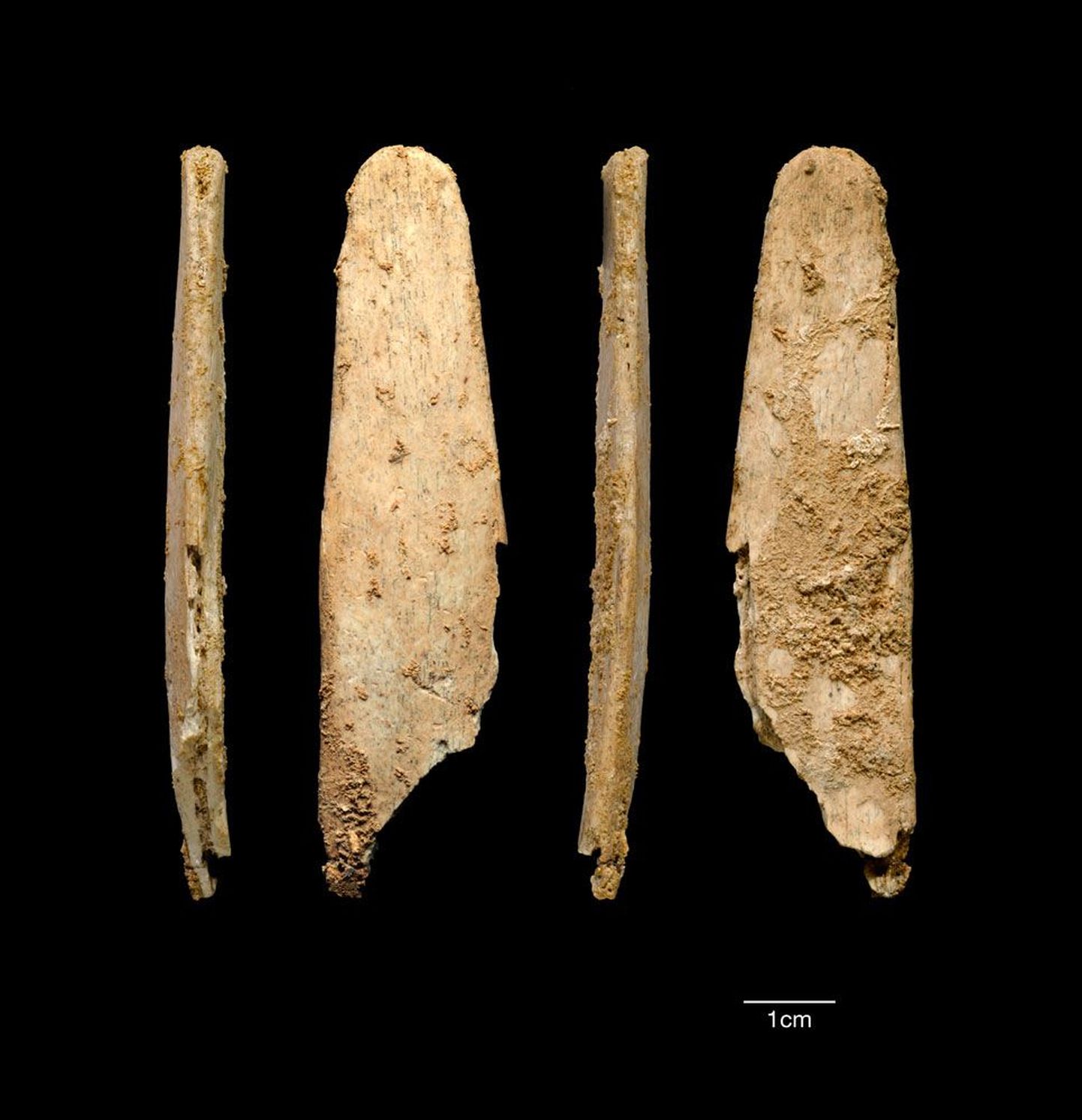 Neandertallaste luust tööriistad, millel on märke taaskasutamisest