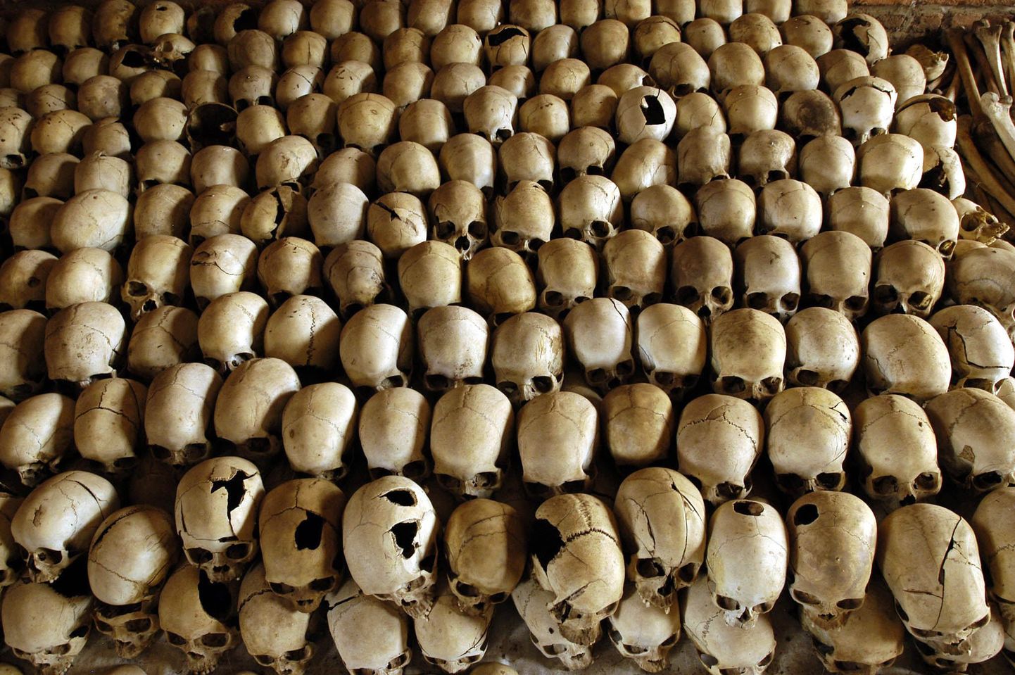 Rwanda genotsiidis hukkus umbes 800 000 inimest.
