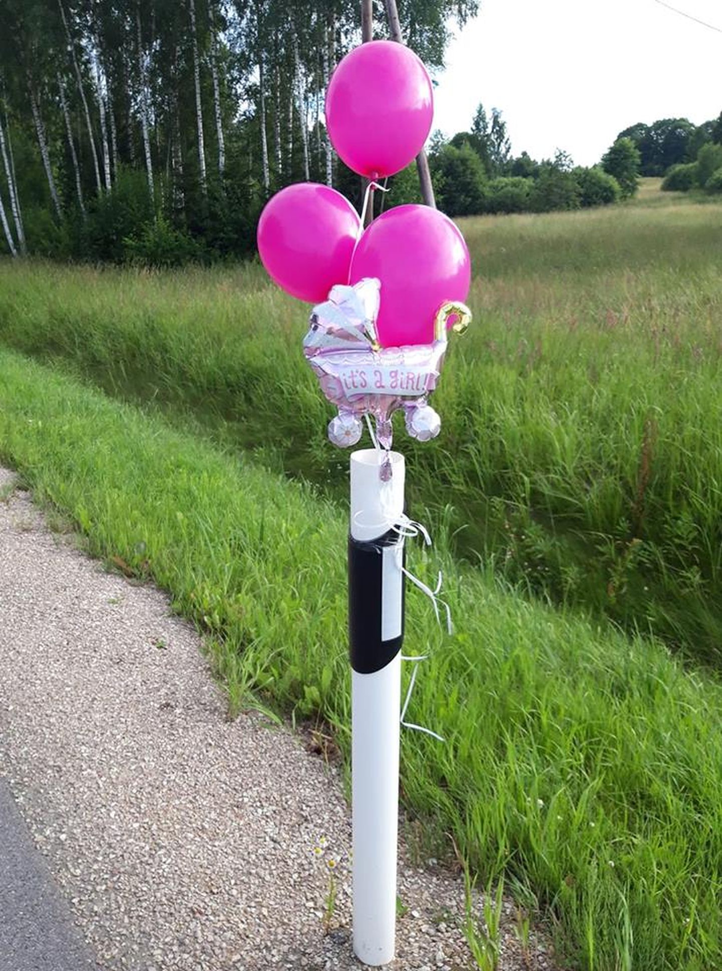 Õhupallid Valga-Tartu maantee ääres, kus sündis tüdruk, kelle ema sõitis Valgast Tartusse sünnitama, kuid jõudis vaid poolele teele.