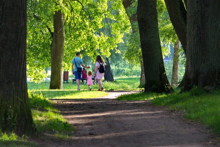 Raksta foto