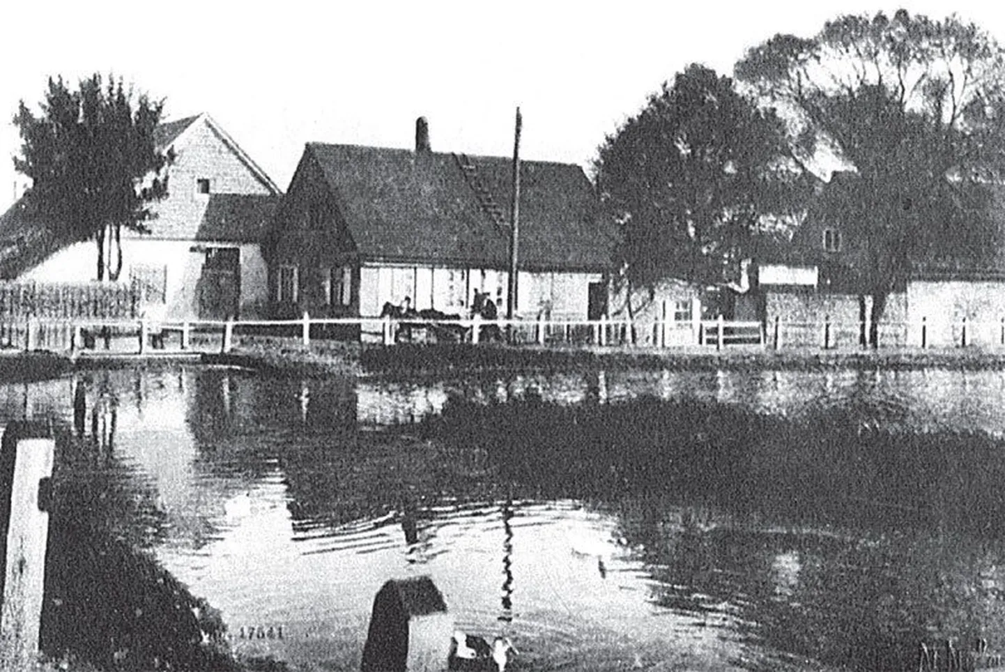 Vaade kunagi praeguse Juhkentali tänava juures asunud Tiigiveskile 19. sajandi lõpul.