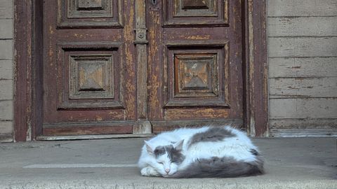 Otrdien nav gaidāmi nokrišņi