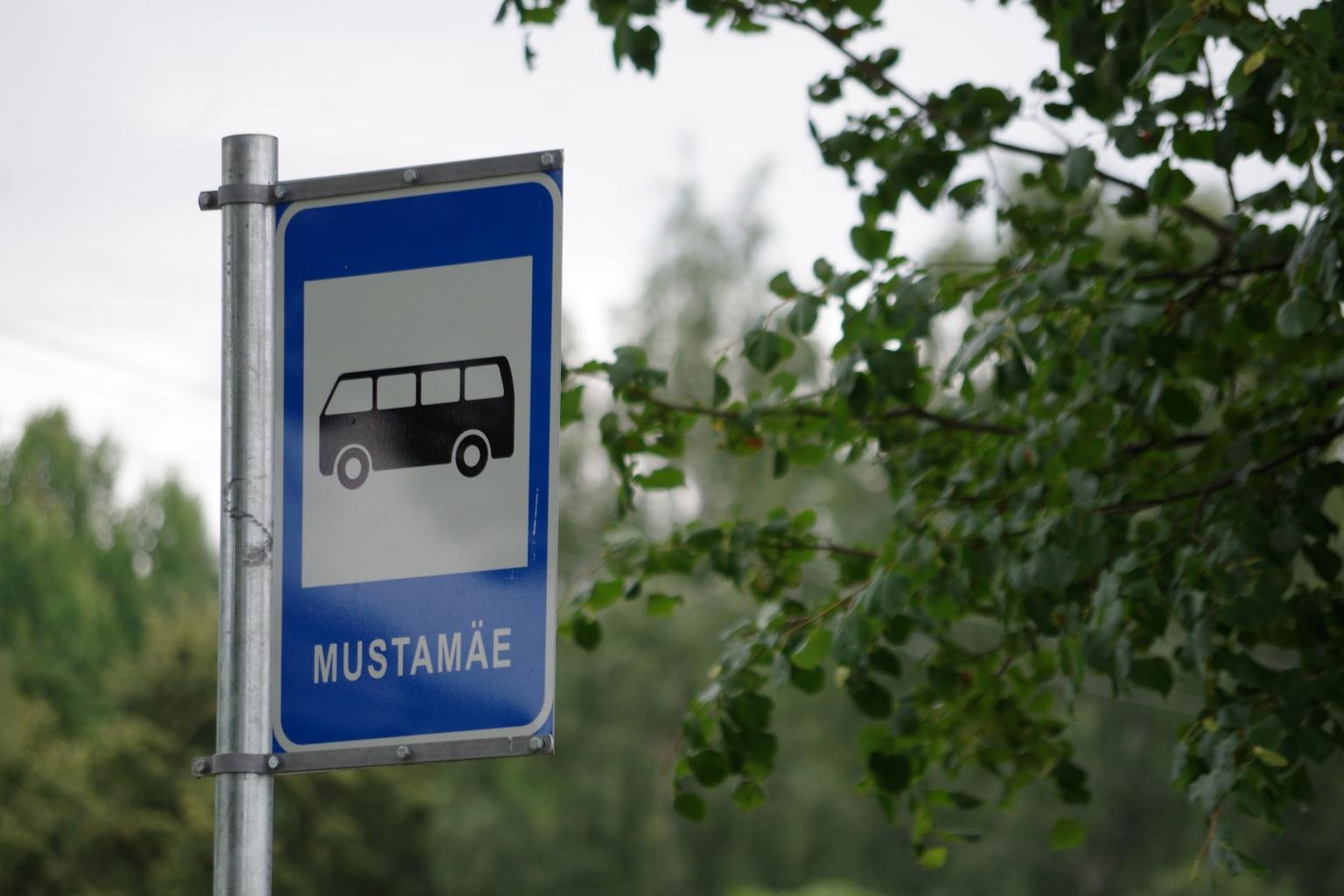 Tsooru külas on ka Mustamäe bussipeatus.