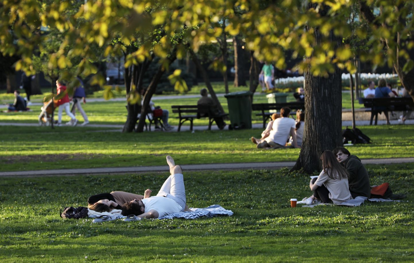 Люди отдыхают на газоне в Верманском парке