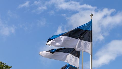 HOMNE EESTI ⟩ Noorte esseekonkursi «Homne Eesti» juunikuu auhinna sai Trevor Kaarde