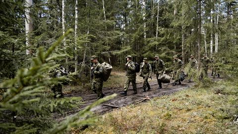 Reserve Forces Week honours nearly 100,000 Estonian defenders