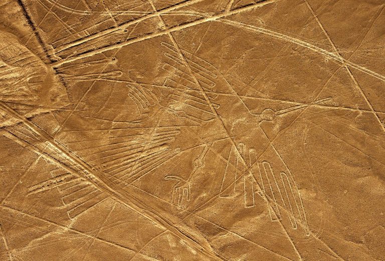 Nazca geoglüüfid, pildil kondor
