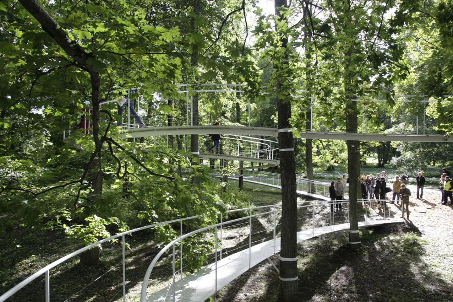 Jaapani arhitekti Tetsuo Kondo ülipopulaarne installatsioon «Rada metsas» Kadrioru pargis.