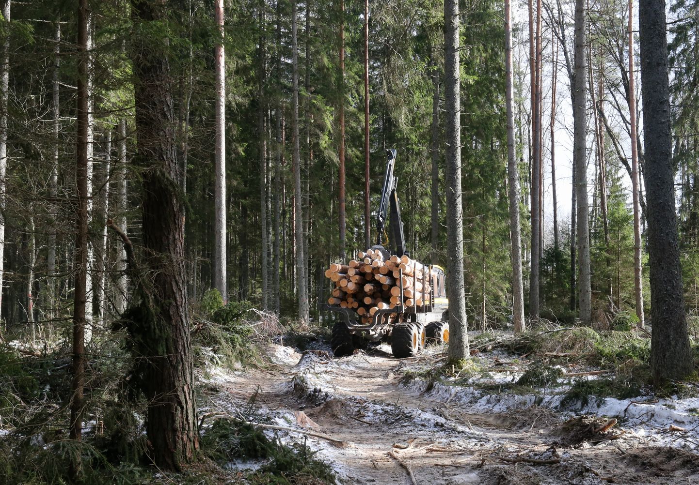 Pöördumises "Lageraied ajalikku" seisab: "Riigimets on meie kõigi ühine mets. Igale Eesti elanikule “kuulub” riigi metsast 0,9 hektarit metsamaad. Ometi pole rahvale antud otsustusõigust meie metsade kasutuse ja raiumise üle."