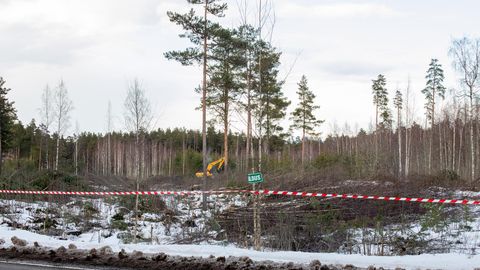 Riigikohus andis pea neli aastat kestnud liivakarjääri vaidluses õiguse kohalikele