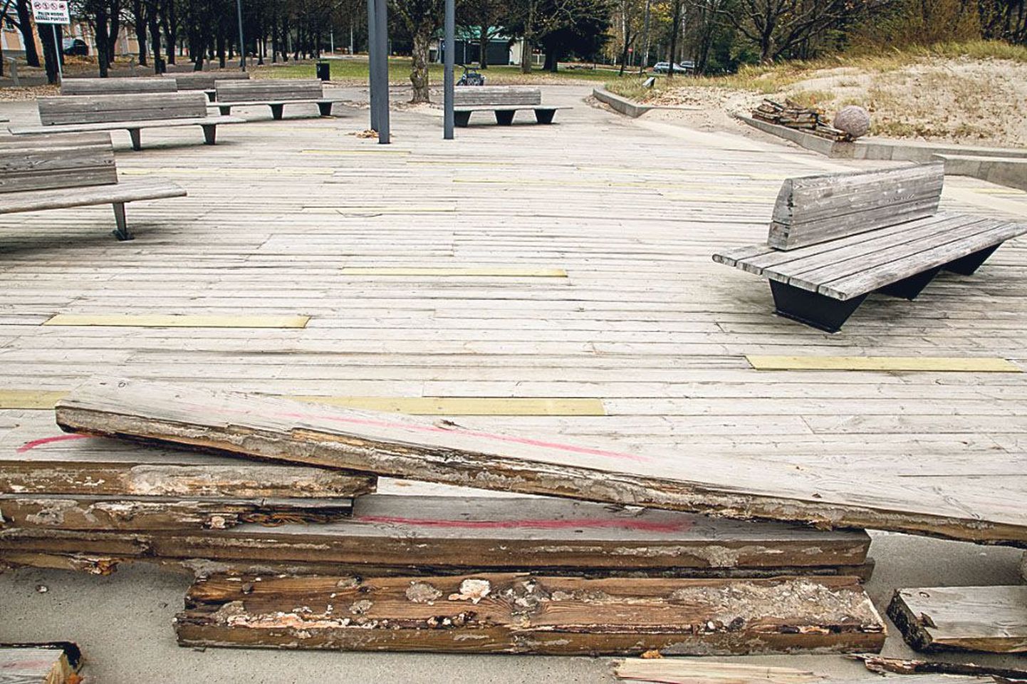 Ajahammas on Pärnu Rannapargi laudteid ja laudiseid nii isukalt purenud, et YIT Ehitus oli sunnitud neis hulga planke uute vastu vahetama.