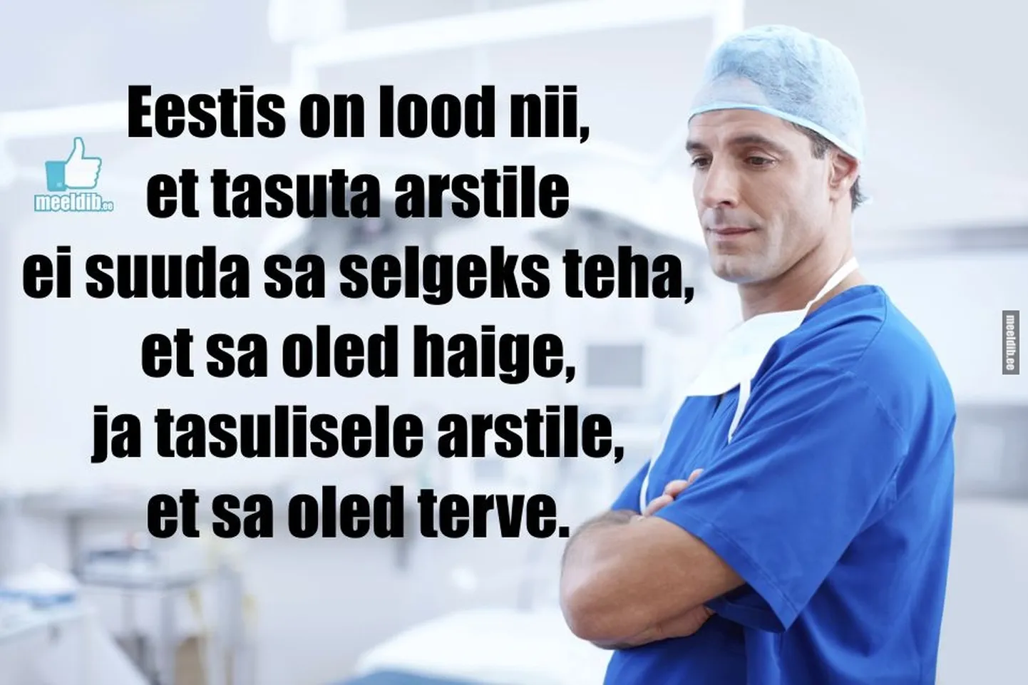 Artikli foto
