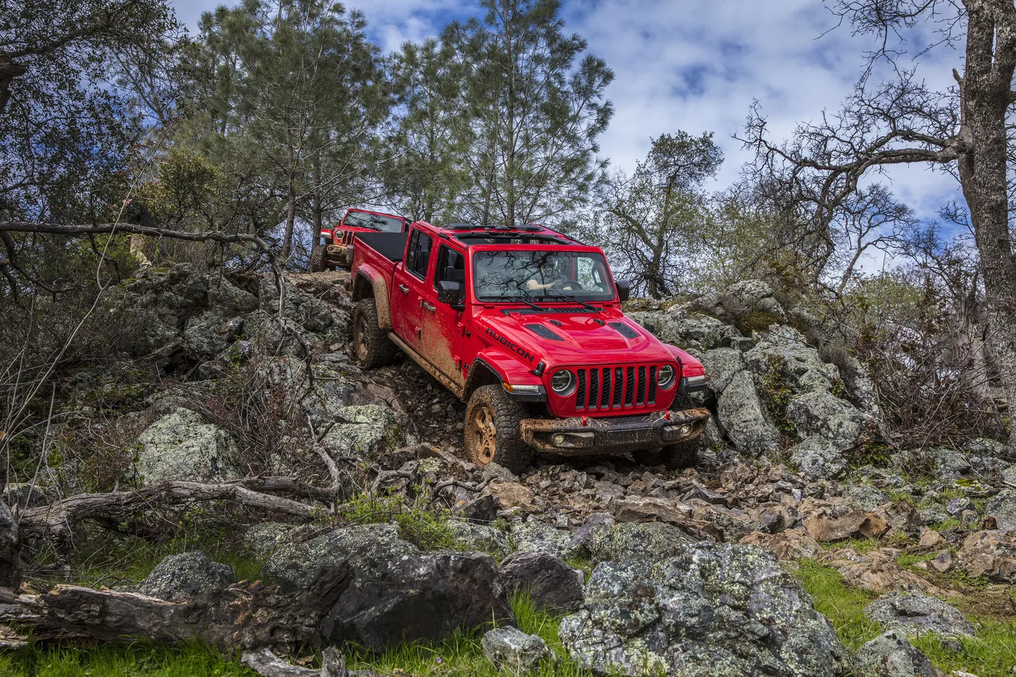 Jeep Gladiator '20