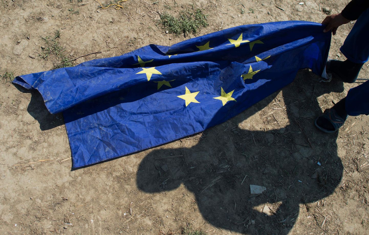 ELi lipp