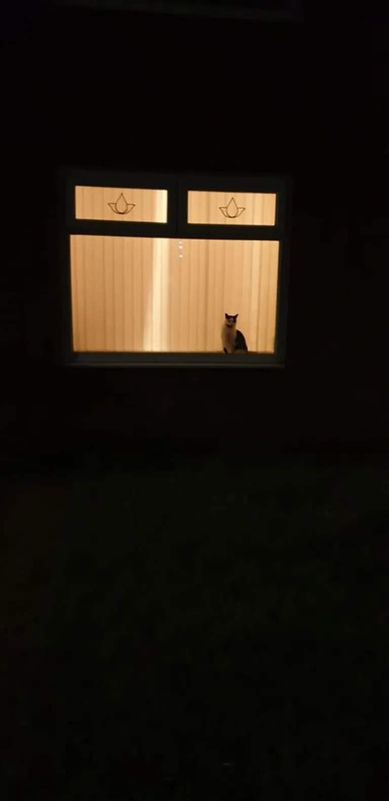 Artikli foto
