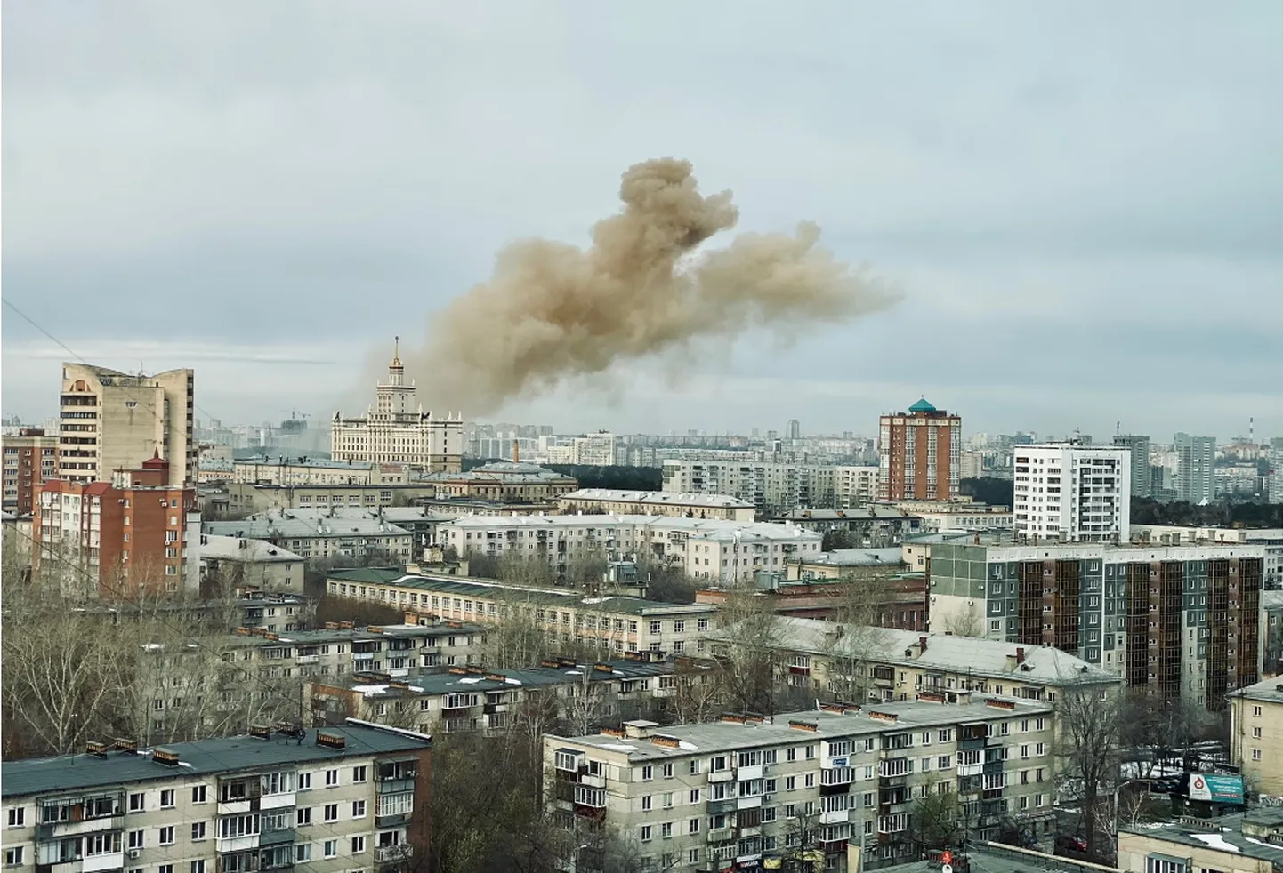 Фото статьи