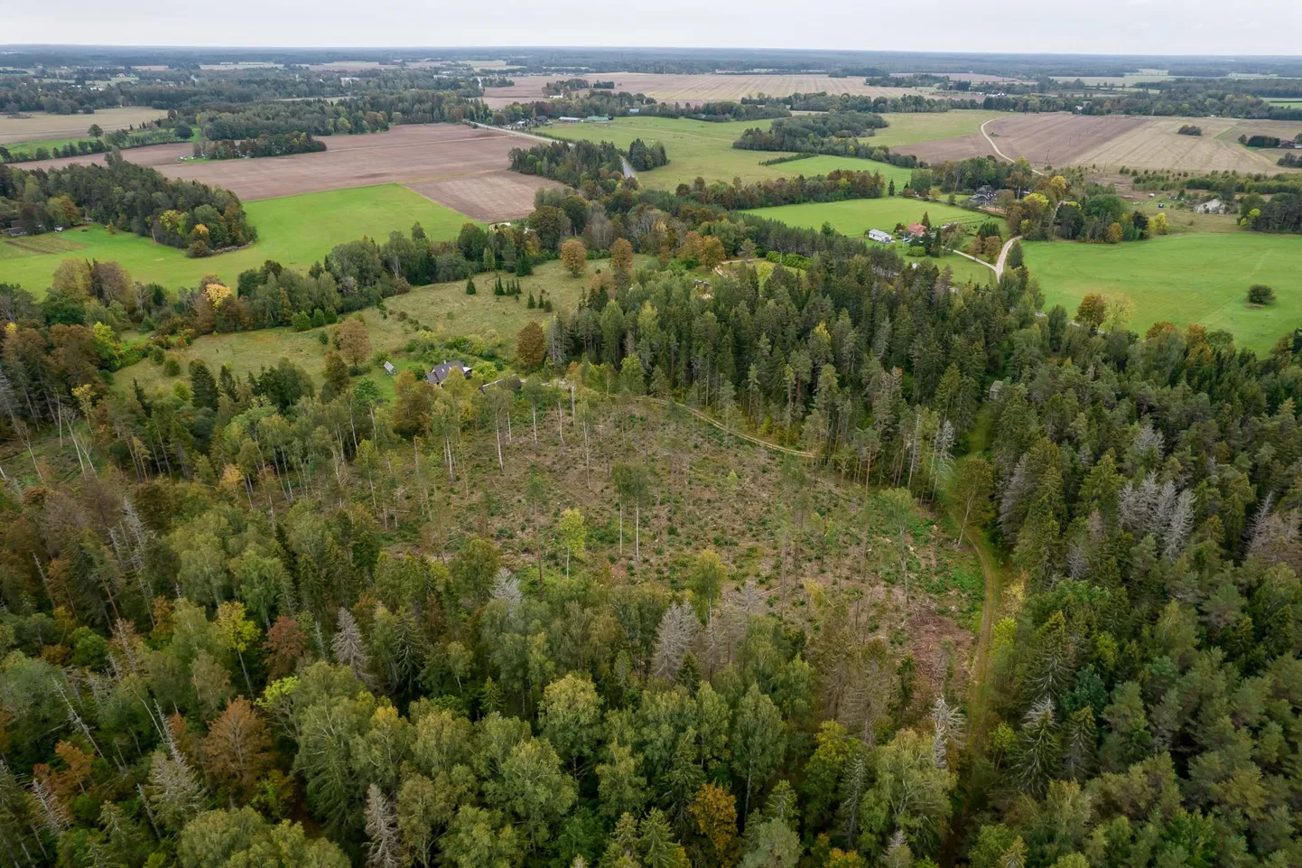 Natura 2000