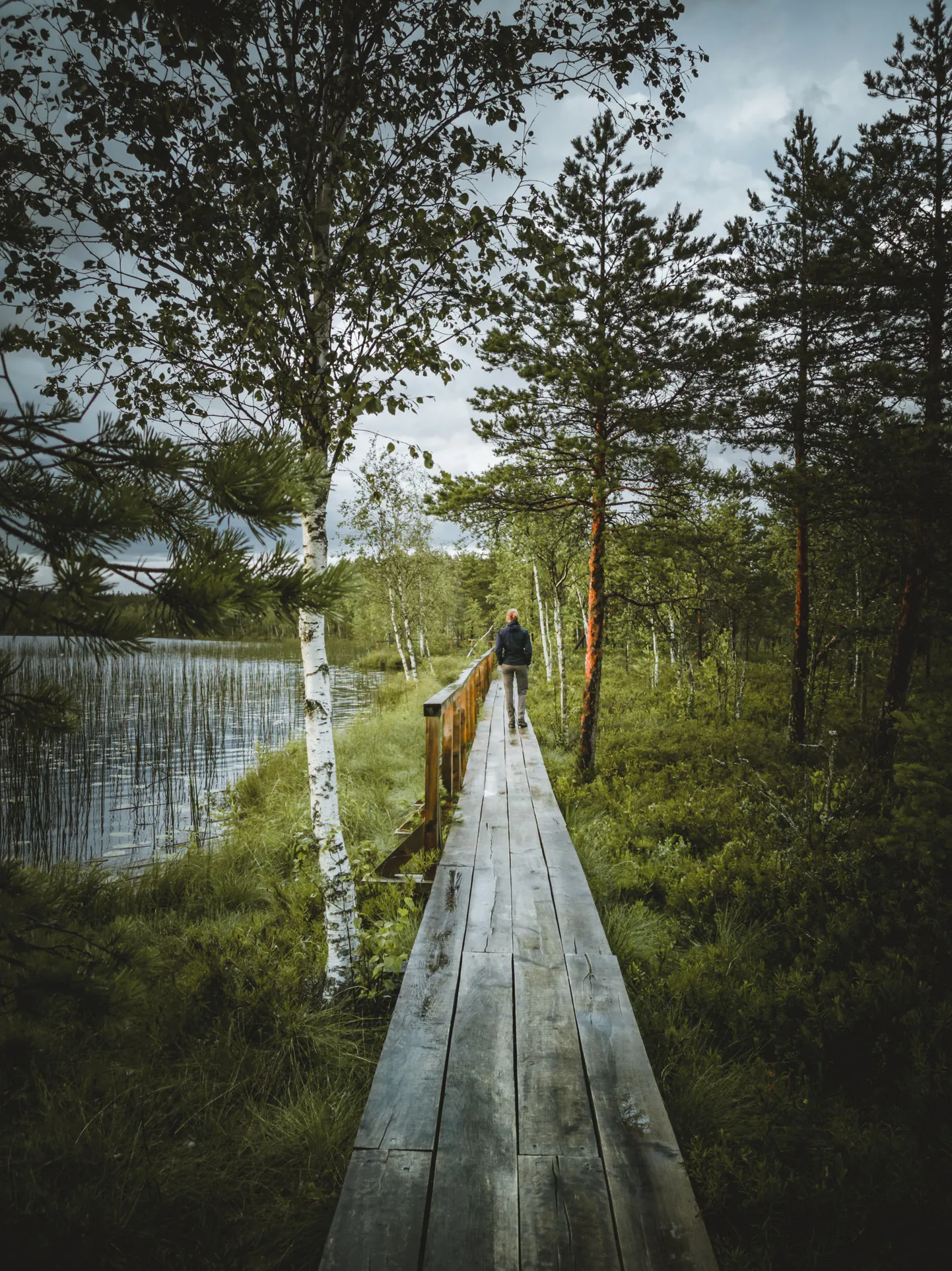 Raksta foto