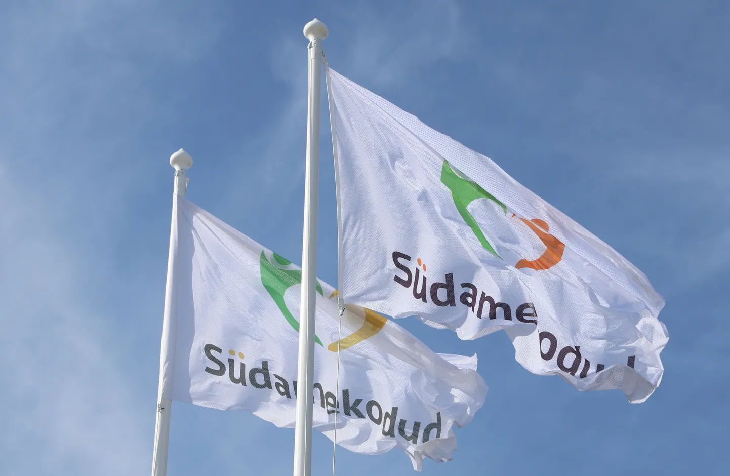 Südamekodud on Eesti suurim eakate hooldusteenuse pakkuja –  gruppi kuulub 12 eakatekodu üle Eesti, kus on üle 1200 elaniku ning töötab enam kui 500 inimest.