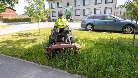 Avaliku ruumi korrashoid nõuab omavalitsustelt suurt kulu