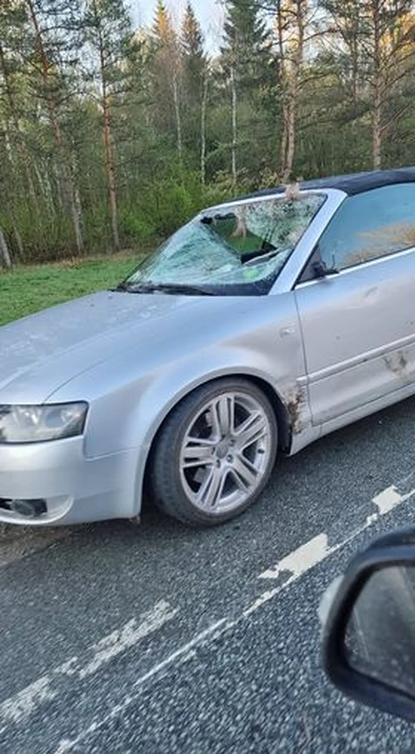 Õnnetuses sai lisaks põdrale viga ka auto.